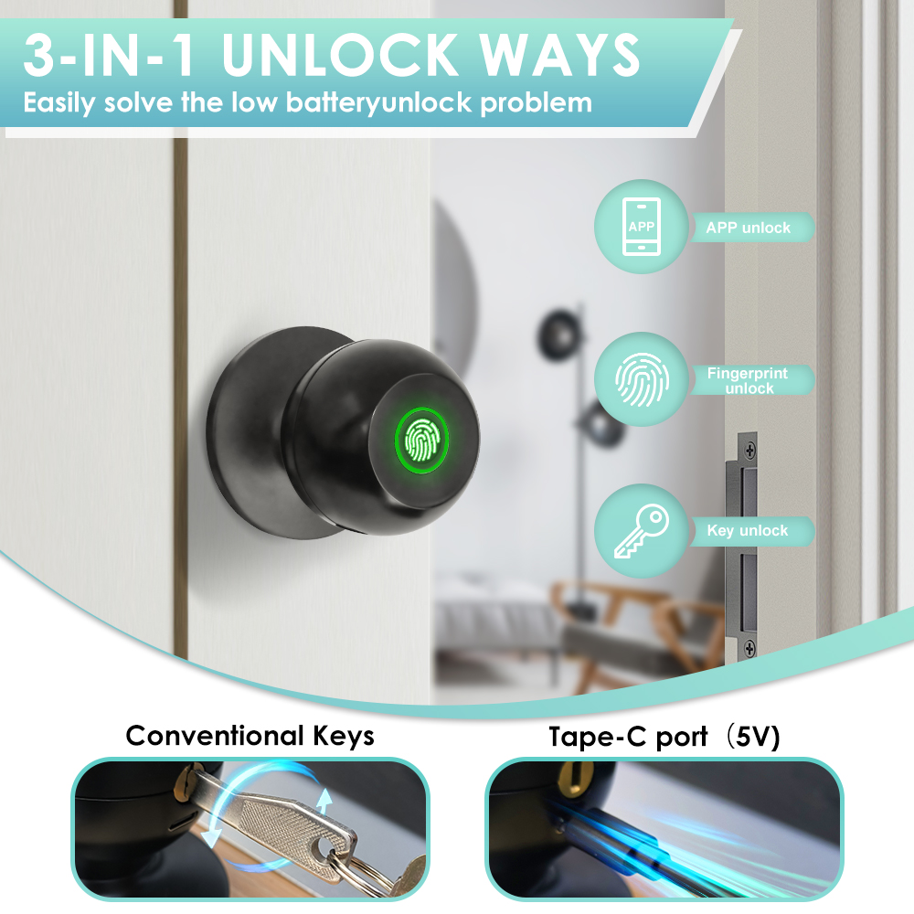 Tuya Electronic Door Lock Smar - Smart Home Website review and price